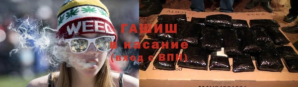 прущие грибы Балабаново