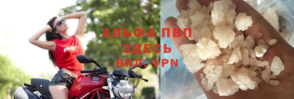 прущие грибы Балабаново