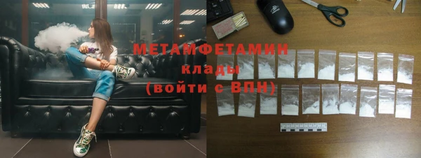 прущие грибы Балабаново
