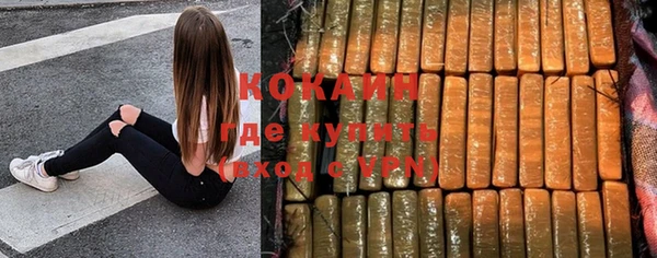 прущие грибы Балабаново