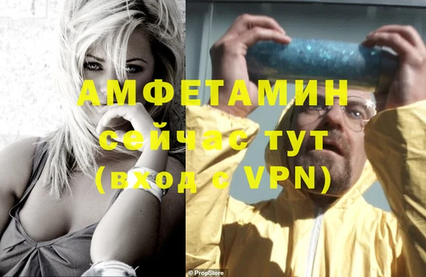 прущие грибы Балабаново