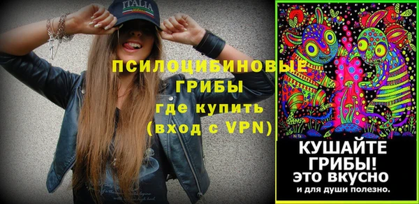 прущие грибы Балабаново
