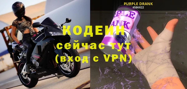 прущие грибы Балабаново
