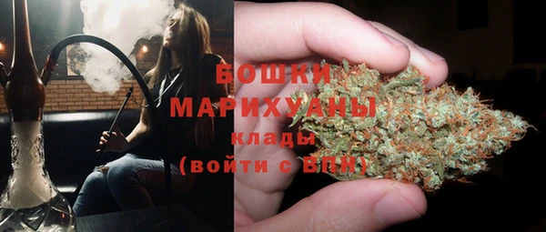 прущие грибы Балабаново