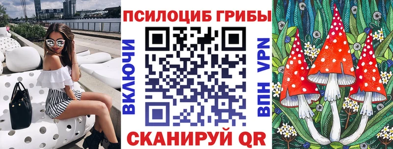 Купить  Сухой Лог  Псилоцибиновые грибы Magic Shrooms 